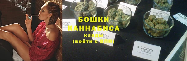 бошки Горняк