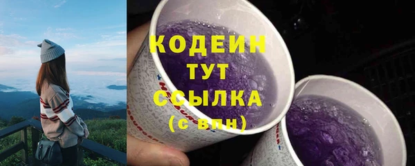 прущие крисы Гусев