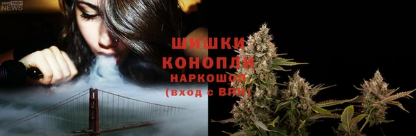 бошки Горняк