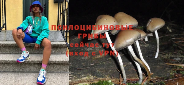 дурь Гусиноозёрск