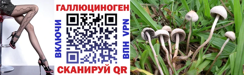 Галлюциногенные грибы GOLDEN TEACHER Северодвинск