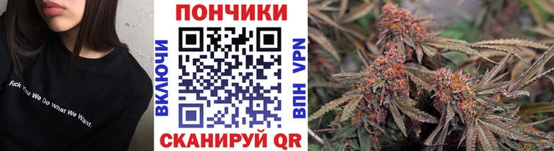 даркнет телеграм  Северодвинск  Марихуана SATIVA & INDICA 